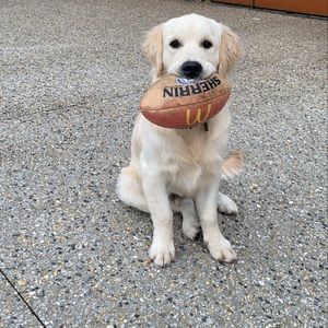 Meet your Posher, Grace